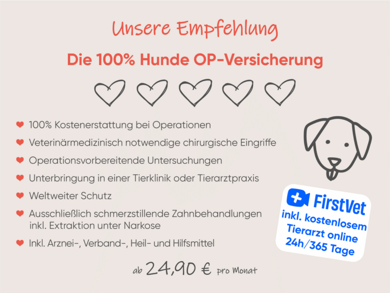 Hunde OP Versicherung