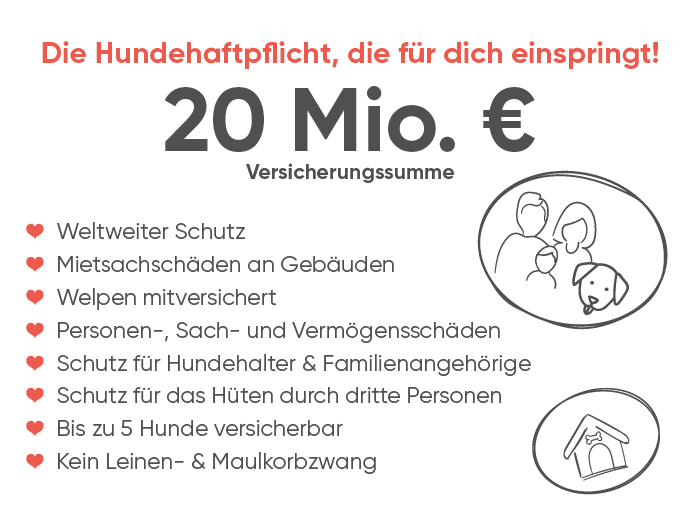 Hundehaftpflichtversicherung Hund