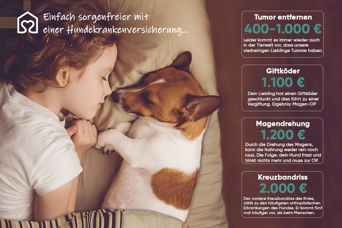 Hundekrankenversicherung Mädchen Hund