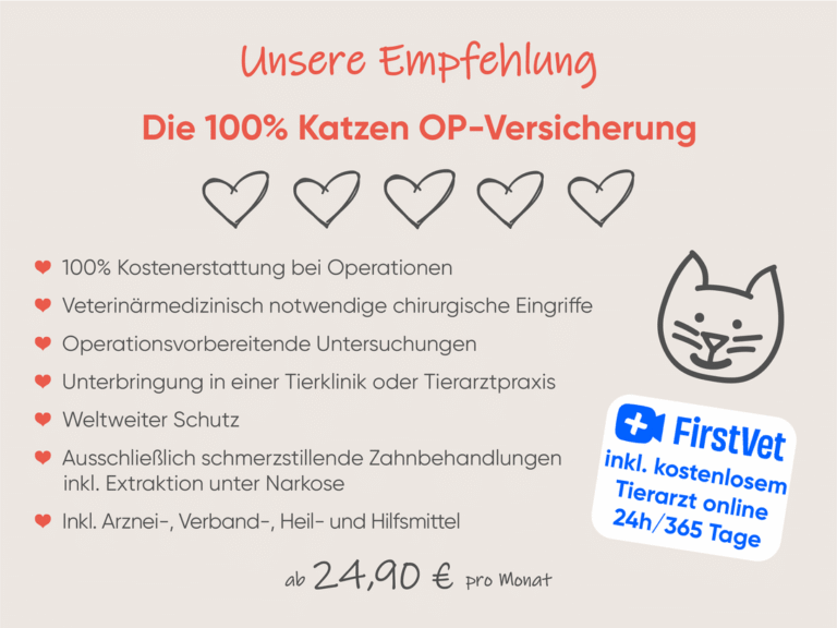 Katzen OP Versicherung