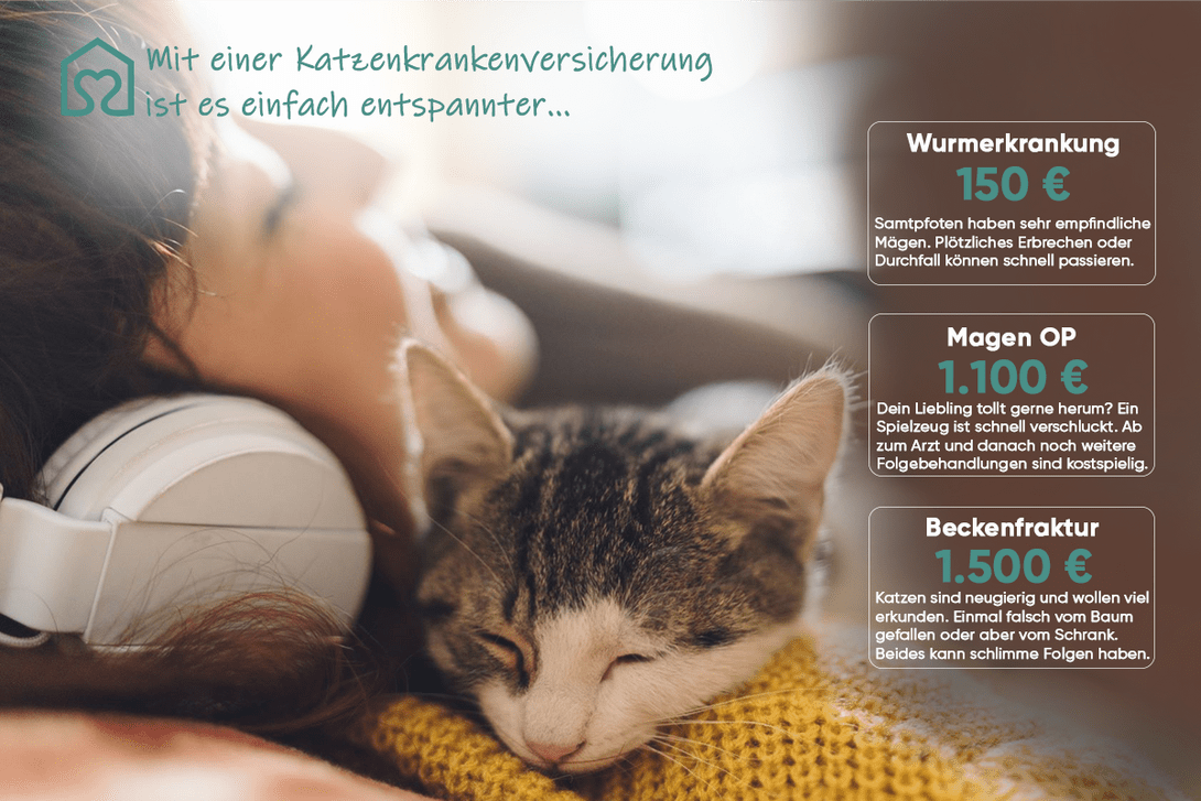 Katzenkrankenversicherung Frau Katze