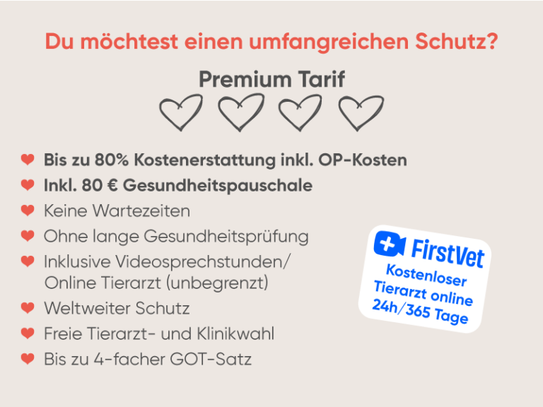 Katzenkrankenversicherung Premium