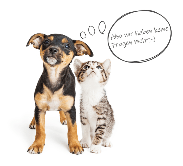 Tierratgeber Hund Katze mit Sprechblase