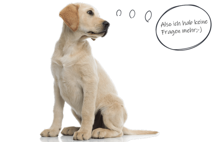 Tierratgeber Hund mit Sprechblase