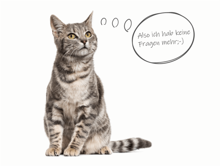 Tierratgeber Katze und Sprechblase